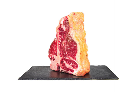 Florentine Galician cow Rubia Gallega