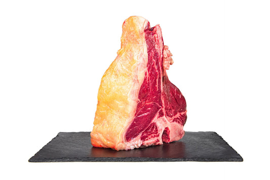 Florentine Galician cow Rubia Gallega