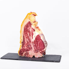 Fiorentina/T-Bone Sashi AAA