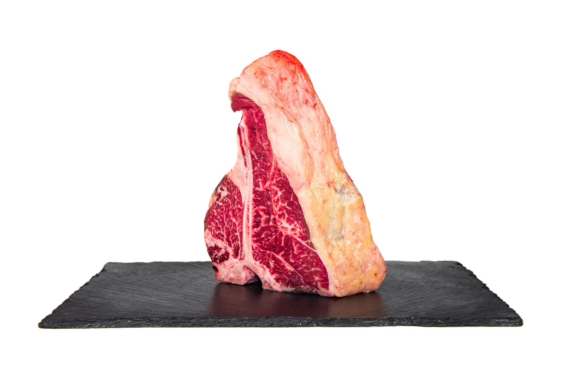 Fiorentina/T-Bone Sashi Diamond