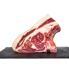 Costata Sashi Prussian AAA MBS 8/9