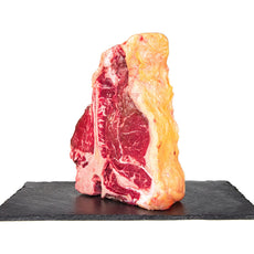 Florentine Galician cow Rubia Gallega