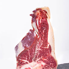 Florentine Galician cow Premium