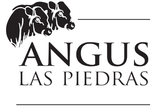 Chuck roll Black Angus Uruguay Las Piedras